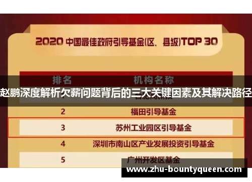 赵鹏深度解析欠薪问题背后的三大关键因素及其解决路径