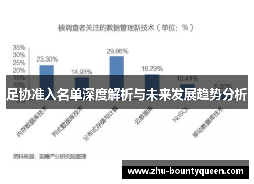 足协准入名单深度解析与未来发展趋势分析